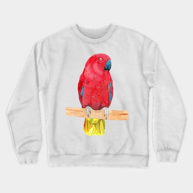 eclectus parrot watercolor red Crewneck Sweatshirt by Oranjade0122